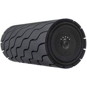 Theragun Wave Roller Theragun Wave Roller
