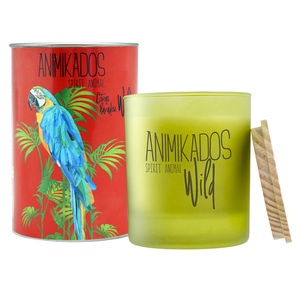 Ambientair Wild Parrot VV040CPAW цитрусовый Ambientair Wild Parrot VV040CPAW цитрусовый