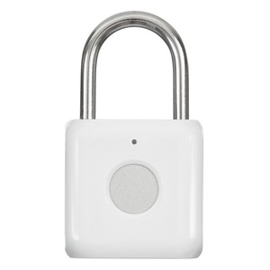 Digma SmartLock P1, белый (SRP1) Digma SmartLock P1, белый (SRP1)