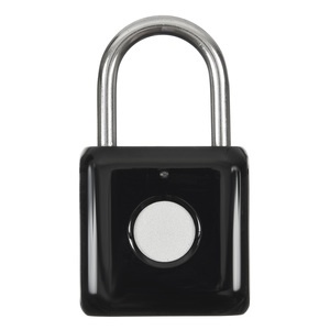 Digma SmartLock P1, чёрный (SRP1) Digma SmartLock P1, чёрный (SRP1)