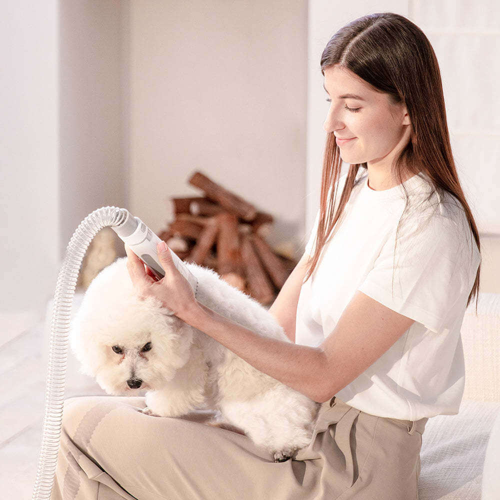 Купить Набор для ухода за домашними животными Petkit Air Clipper 5 в 1 ...