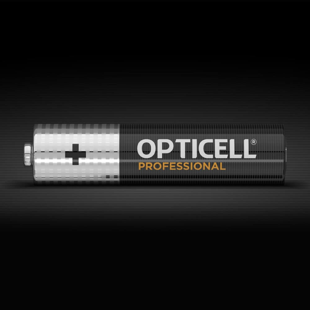 Купить Батарейка Opticell Professional LR03/MN2400 (6 шт) в Москве